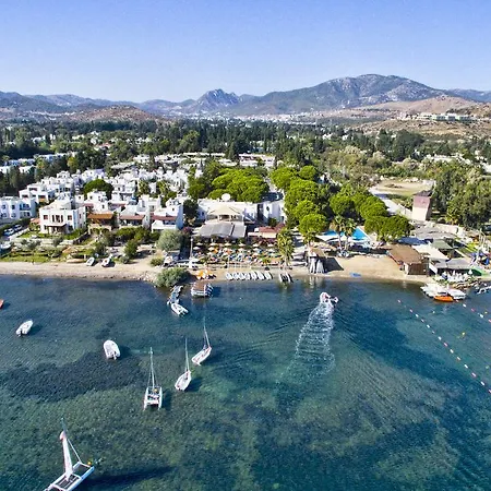 Seaside Club 3*