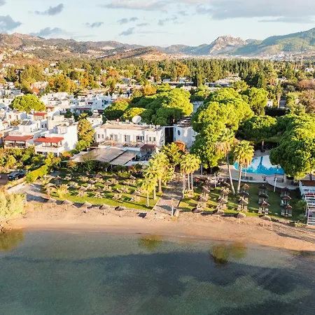 Seaside Club Hotel 3*